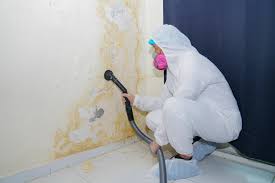 Best HVAC Mold Inspection and Cleaning  in Clarksburg, WV